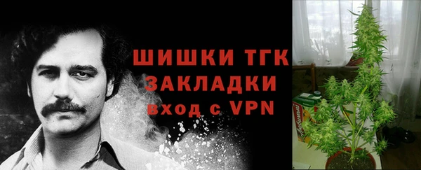 ПСИЛОЦИБИНОВЫЕ ГРИБЫ Саяногорск