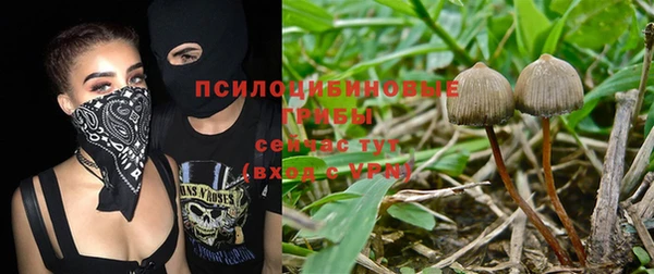 ПСИЛОЦИБИНОВЫЕ ГРИБЫ Баксан